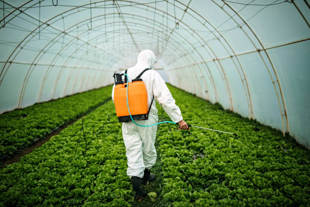 Best Best Pest Control Companies  in Eagle Butte, SD