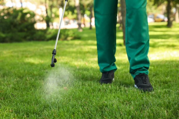 Best Commercial Pest Control Services  in Eagle Butte, SD