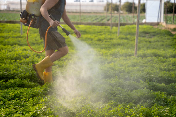 Pest Control Cost in Eagle Butte, SD