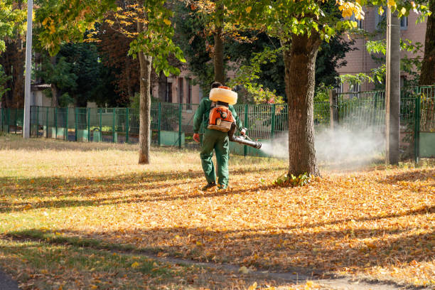 Best Pest Prevention Services  in Eagle Butte, SD
